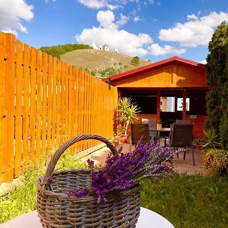 Guesthouse Mikulas Mikulov - Free Parking In The City Center Exteriör bild