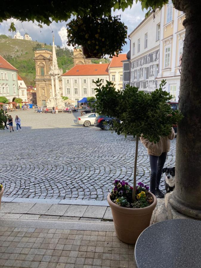 Guesthouse Mikulas Mikulov - Free Parking In The City Center Exteriör bild