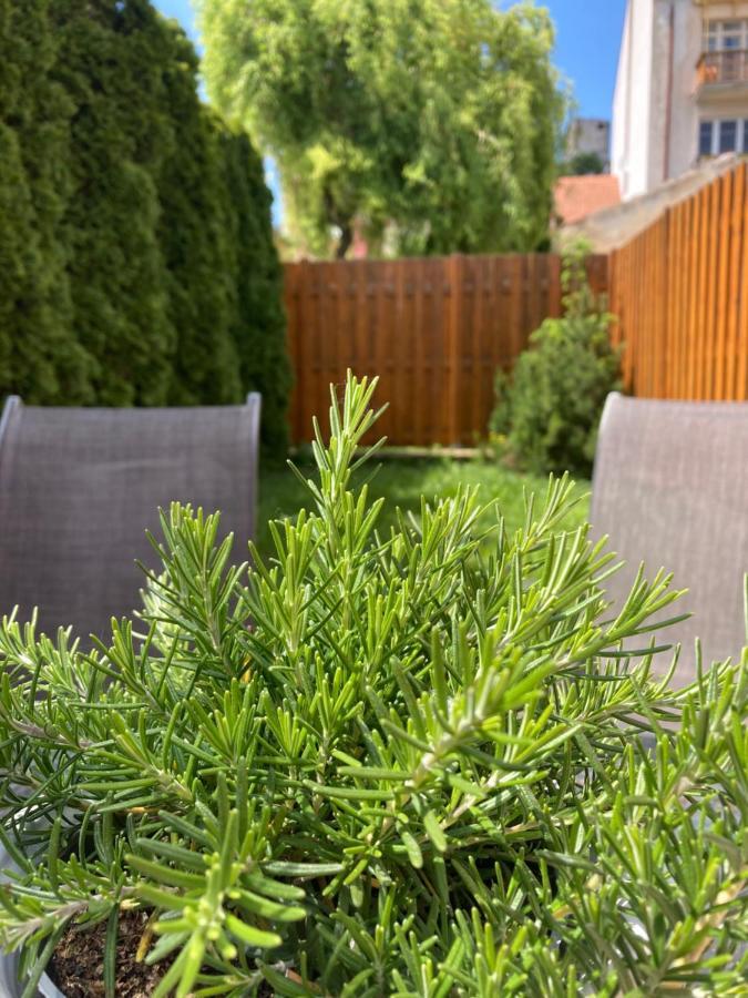 Guesthouse Mikulas Mikulov - Free Parking In The City Center Exteriör bild