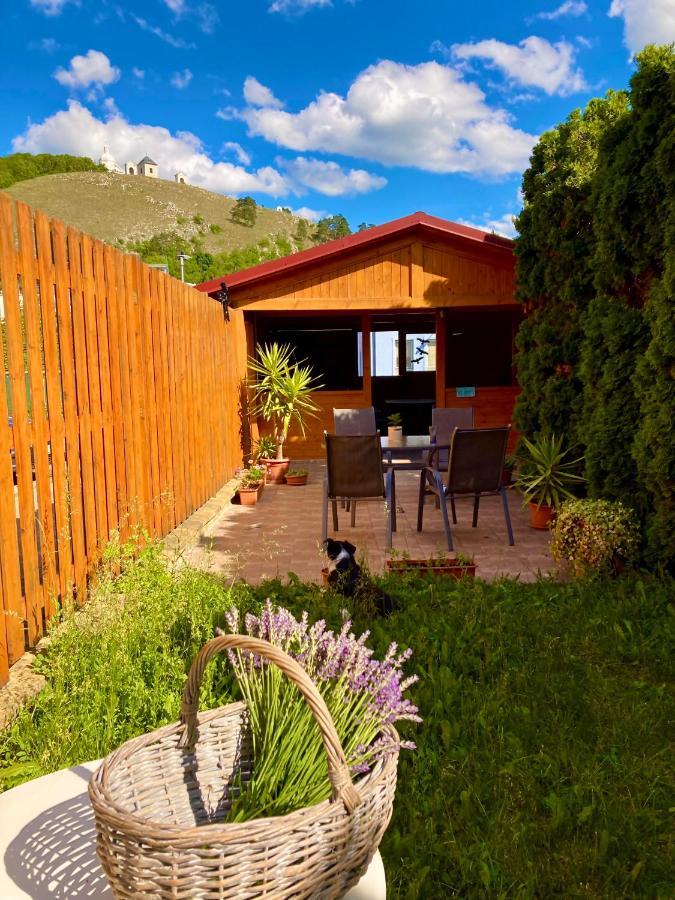 Guesthouse Mikulas Mikulov - Free Parking In The City Center Exteriör bild