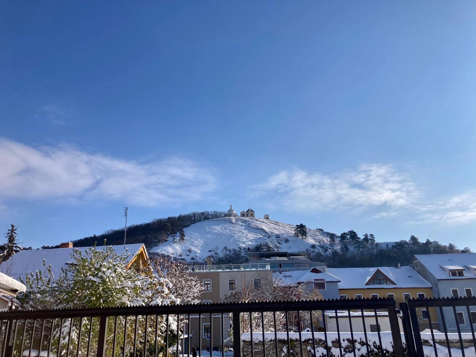 Guesthouse Mikulas Mikulov - Free Parking In The City Center Exteriör bild