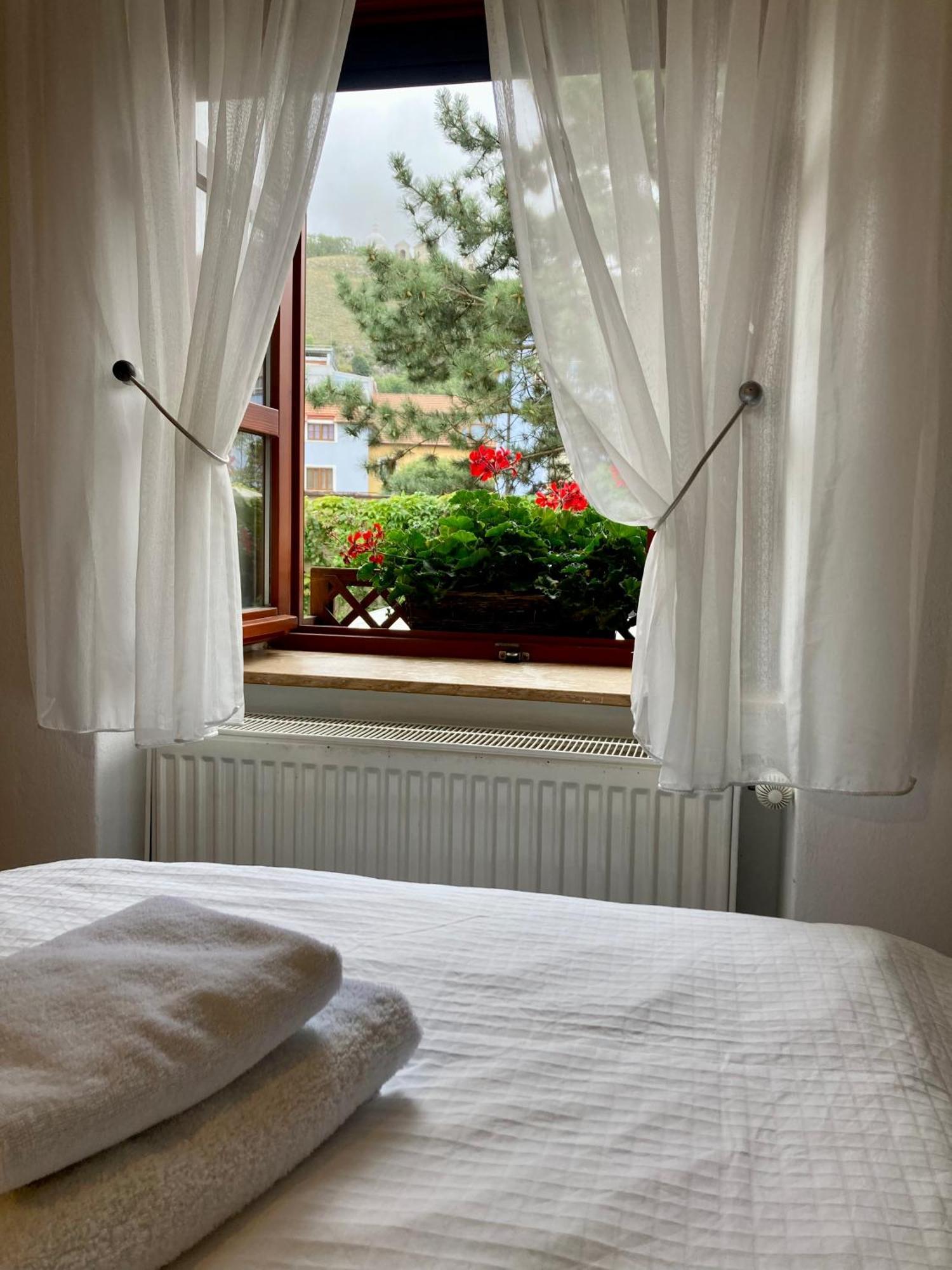 Guesthouse Mikulas Mikulov - Free Parking In The City Center Exteriör bild